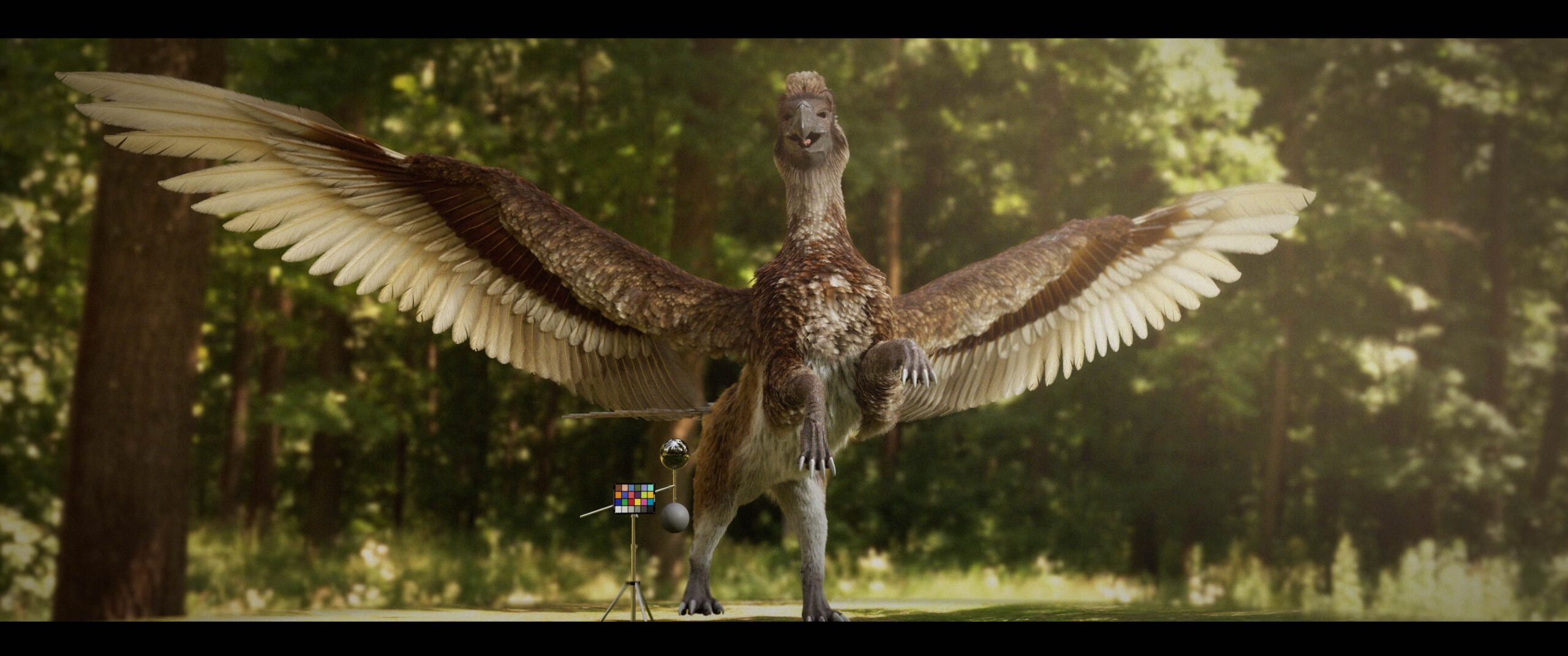 Final render from the feather workflow project